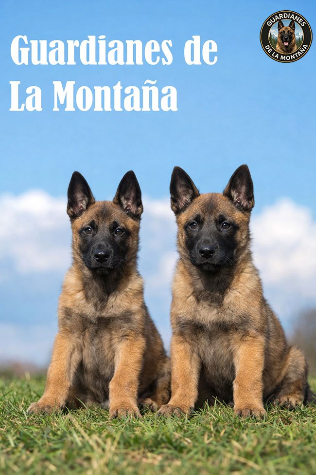 ChatGPT Image 19 dic 2025, 08_24_34 a.m_